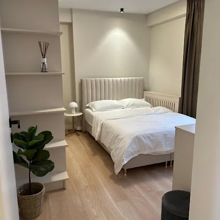 公寓 Apartament Lux Herastrau 布加勒斯特