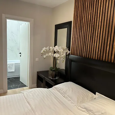 公寓 Apartament Lux Herastrau
