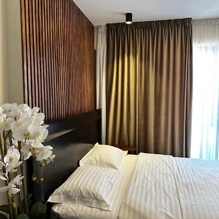 公寓 Apartament Lux Herastrau 布加勒斯特
