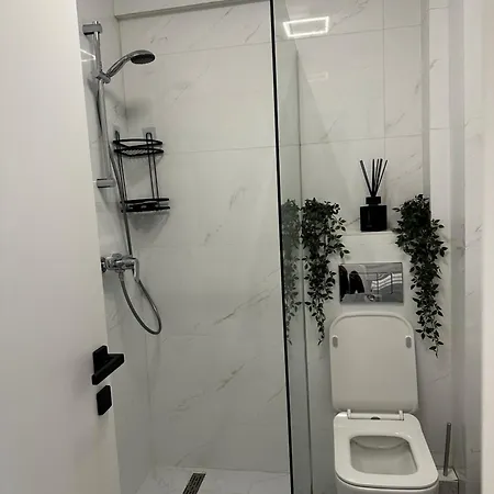 公寓 Apartament Lux Herastrau 布加勒斯特